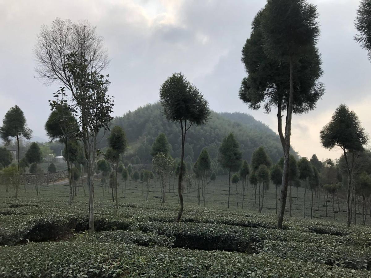 悟 佐茶 Satori Tea Villa Leye Buitenkant foto